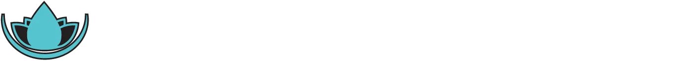 Scottsdale Recovery II logo